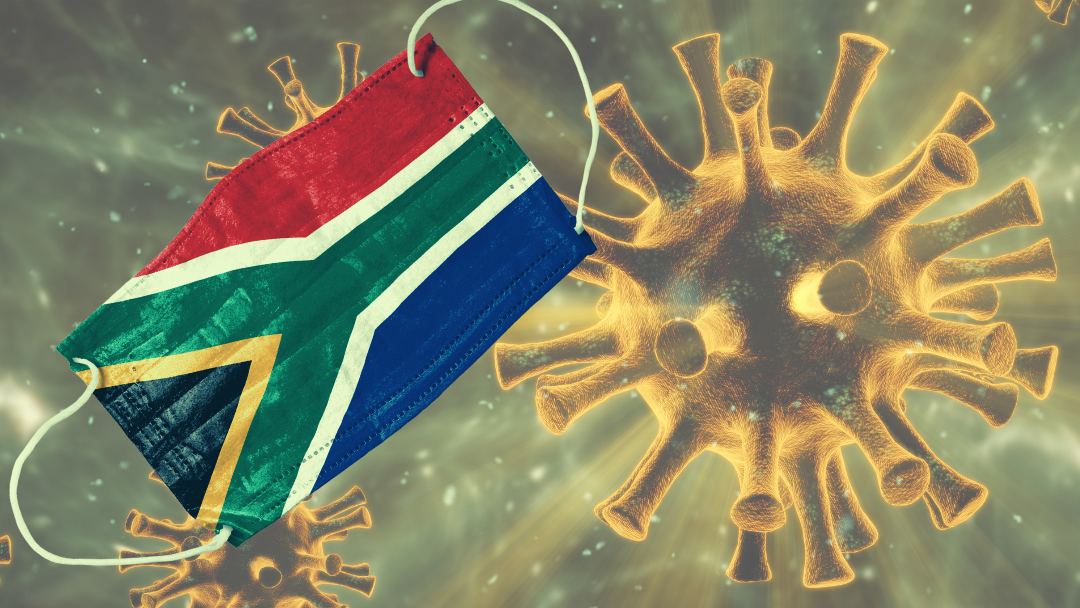 Afrobodies antibodies effective against Covid-19 ‘SA variant’